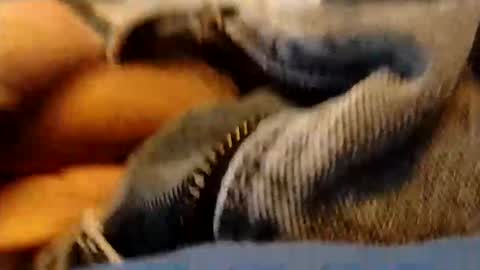 Snapshot of hardandhorny422 chatting on January 15, 2026, 3:49 pm hardandhorny422 online show from January 15, 2026, 3:49 pm