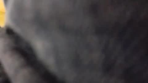 Snapshot of hardandhorny422 chatting on May 10, 2026, 5:18 pm hardandhorny422 online show from May 10, 2026, 5:18 pm