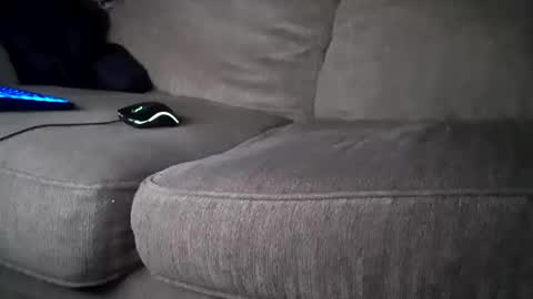 Snapshot of hardcock2share chatting on February 1, 2025, 4:00 pm hardcock2share online show from February 1, 2025, 4:00 pm