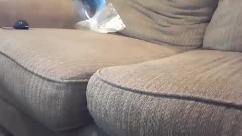 Snapshot of hardcock2share chatting on February 4, 2025, 10:55 pm hardcock2share online show from February 4, 2025, 10:55 pm