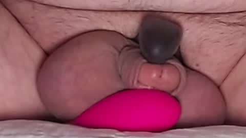 Snapshot of harfang23 chatting on January 15, 2026, 12:21 pm Paul online show from January 15, 2026, 12:21 pm