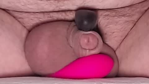 Snapshot of harfang23 chatting on February 12, 2026, 6:41 am Paul online show from February 12, 2026, 6:41 am