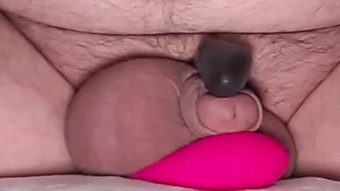 Snapshot of harfang23 chatting on February 13, 2026, 1:12 am Paul online show from February 13, 2026, 1:12 am