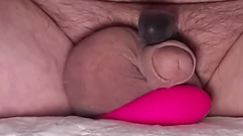 Snapshot of harfang23 chatting on March 1, 2026, 4:47 am Paul online show from March 1, 2026, 4:47 am