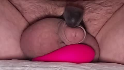 Snapshot of harfang23 chatting on March 3, 2026, 8:09 am Paul online show from March 3, 2026, 8:09 am