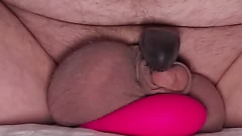 Snapshot of harfang23 chatting on March 21, 2026, 8:19 am Paul online show from March 21, 2026, 8:19 am