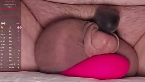 Snapshot of harfang23 chatting on March 25, 2026, 6:41 am Paul online show from March 25, 2026, 6:41 am