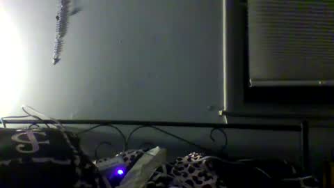 harleywestinc online show from March 29, 2026, 5:51 am