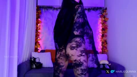 Snapshot of harliequinnx chatting on October 31, 2025, 1:28 am Harliequinnx - Schedule Below Exxxotica DC Dec 6-8th online show from October 31, 2025, 1:28 am