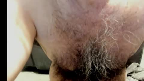 harry_banana online show from January 8, 2025, 11:54 am