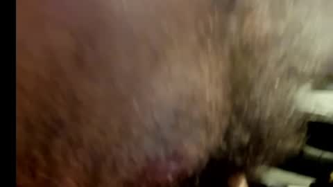 harry_banana online show from January 17, 2025, 10:56 pm