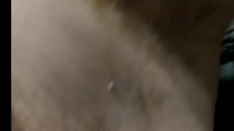 harry_banana online show from January 27, 2025, 8:29 am