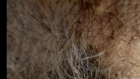 harry_banana online show from February 21, 2025, 8:40 am