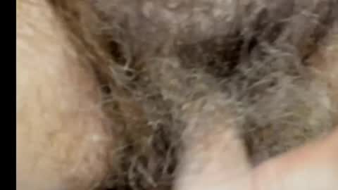 harry_banana online show from March 7, 2025, 11:40 am