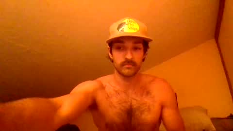 Snapshot of harrycheeks chatting on June 29, 2026, 6:41 am harrycheeks online show from June 29, 2026, 6:41 am