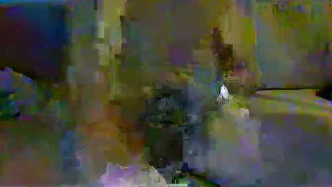 Snapshot of harryhavana chatting on February 11, 2025, 7:44 am harryhavana online show from February 11, 2025, 7:44 am