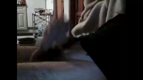 havier282874 online show from April 15, 2026, 9:37 pm