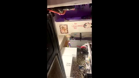 heatskii online show from November 1, 2025, 4:36 am