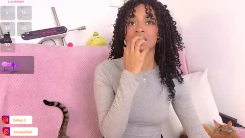 Snapshot of heily_fox chatting on February 17, 2025, 8:36 pm HEILY online show from February 17, 2025, 8:36 pm