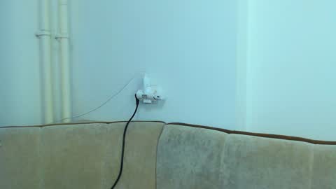 helen_adams_ online show from January 8, 2025, 7:34 am