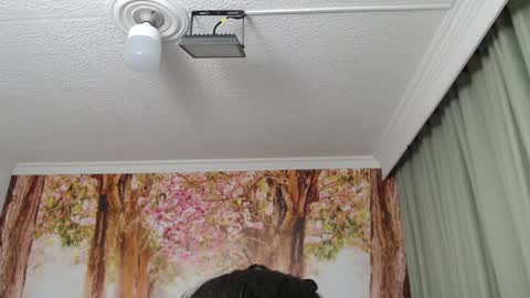 Snapshot of hellen_garcia chatting on December 19, 2024, 2:13 pm Hellen online show from December 19, 2024, 2:13 pm