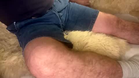 Snapshot of hello902 chatting on September 20, 2025, 7:20 am David Whinston Smith online show from September 20, 2025, 7:20 am