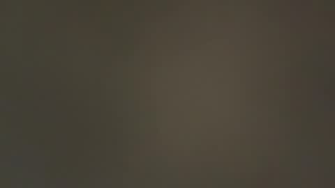 hellohowareyou66 online show from February 9, 2025, 4:50 pm