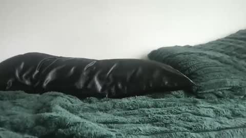 DrixxTheGod online show from April 5, 2026, 4:26 pm