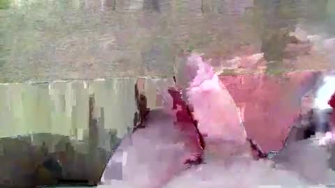 hera44 online show from April 21, 2026, 5:50 pm