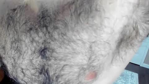 Wade Biggs online show from January 25, 2025, 2:15 am