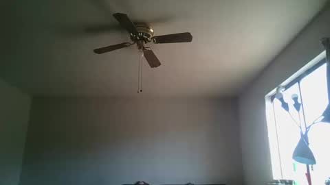 hermannbukowski online show from October 20, 2025, 4:40 pm