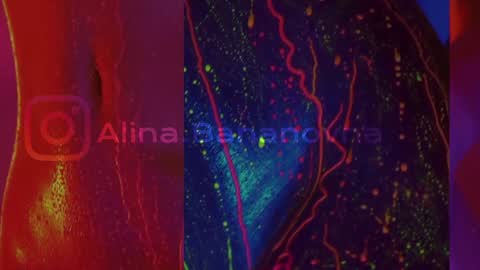Alina online show from January 20, 2025, 6:53 pm