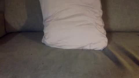 fit uk decorator online show from November 7, 2025, 8:42 pm