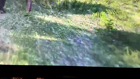 hightymz420 online show from October 27, 2025, 4:16 am