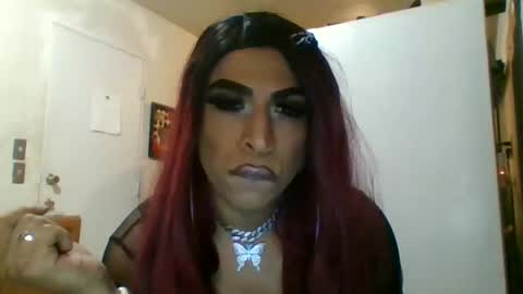 Snapshot of hihheelstranny chatting on April 12, 2026, 8:08 am hihheelstranny online show from April 12, 2026, 8:08 am