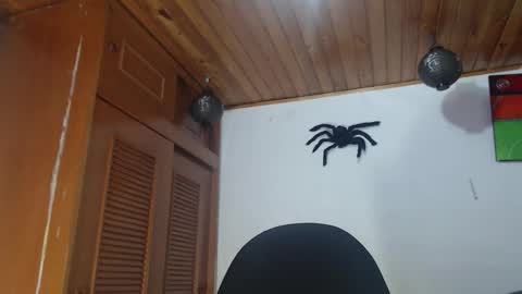 hilaril18 online show from October 28, 2025, 12:47 am