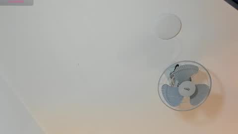 hilary_tailor online show from January 19, 2026, 11:03 am