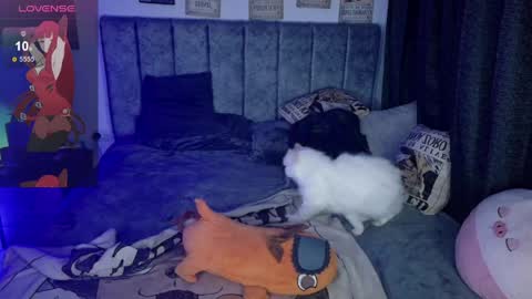 Inori Independent model online show from April 4, 2026, 6:44 am