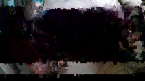 Snapshot of hippibob1 chatting on February 20, 2025, 4:36 pm Bob online show from February 20, 2025, 4:36 pm