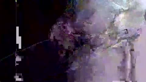 Snapshot of hippibob1 chatting on June 6, 2026, 2:11 pm Bob online show from June 6, 2026, 2:11 pm