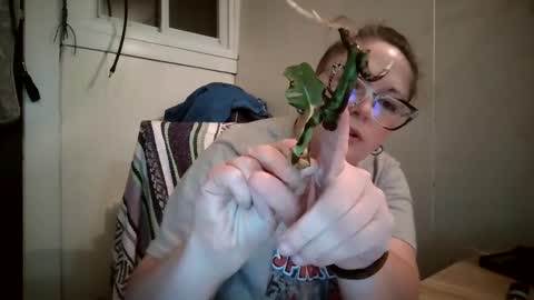 Bella online show from October 9, 2025, 11:25 pm