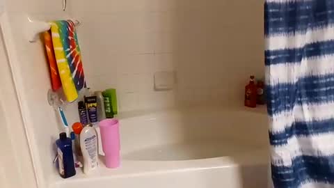 hippydippychick online show from November 13, 2025, 7:18 am