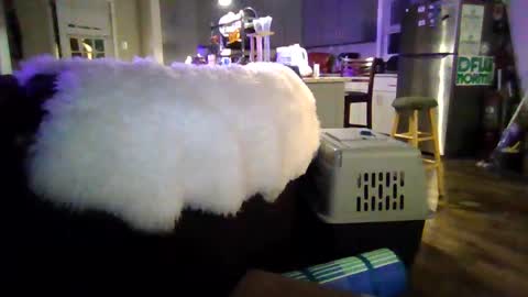 Jjjmoney93 online show from October 3, 2025, 4:09 am