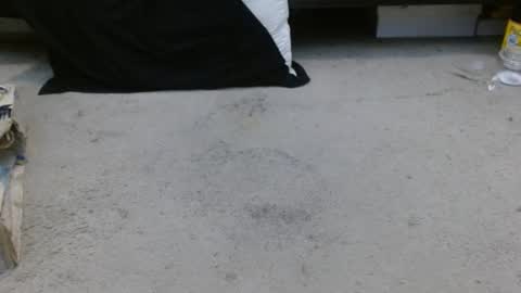 Holly Hawkes online show from January 30, 2025, 4:27 am