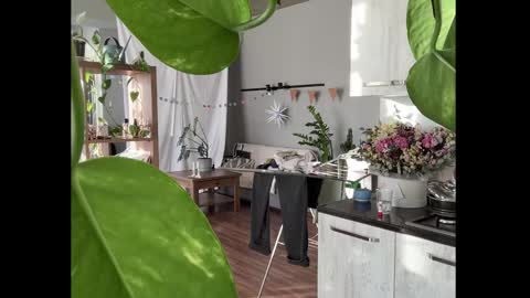 dori not holy get my tg channel with link from description under last photo online show from January 8, 2026, 12:40 pm