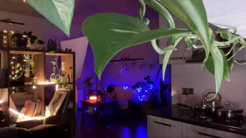 dori not holy get my tg channel with link from description under last photo online show from April 20, 2026, 7:48 pm