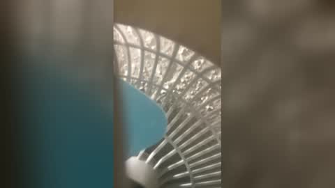 honesti_pretty online show from February 21, 2026, 7:15 pm