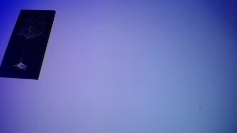 Honney online show from February 14, 2025, 3:22 am