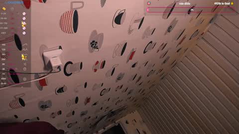 the perfectgirl online show from December 28, 2024, 12:13 pm