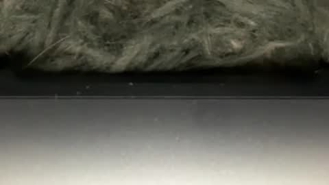 Snapshot of hoodiesahdgoodies chatting on February 23, 2026, 5:38 am D online show from February 23, 2026, 5:38 am